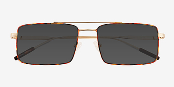 Tortoise Gold Dylan -  Métal Lunettes de soleil